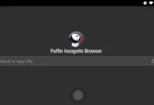 Puffin Incognito Browser Puffin Incognito Browser