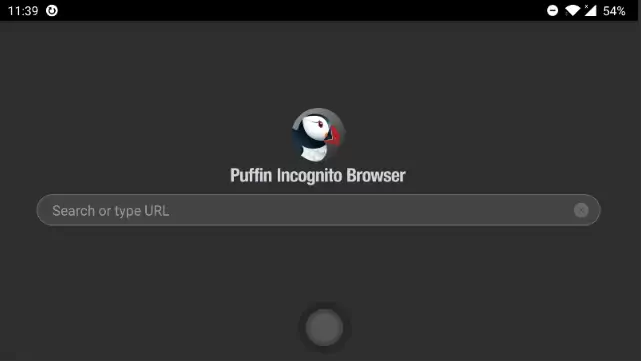 Puffin Incognito Browser