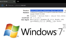 4 browsers still compatible & maintained for Windows 7 (2024) A screenshot that shows the thorium browser version information.